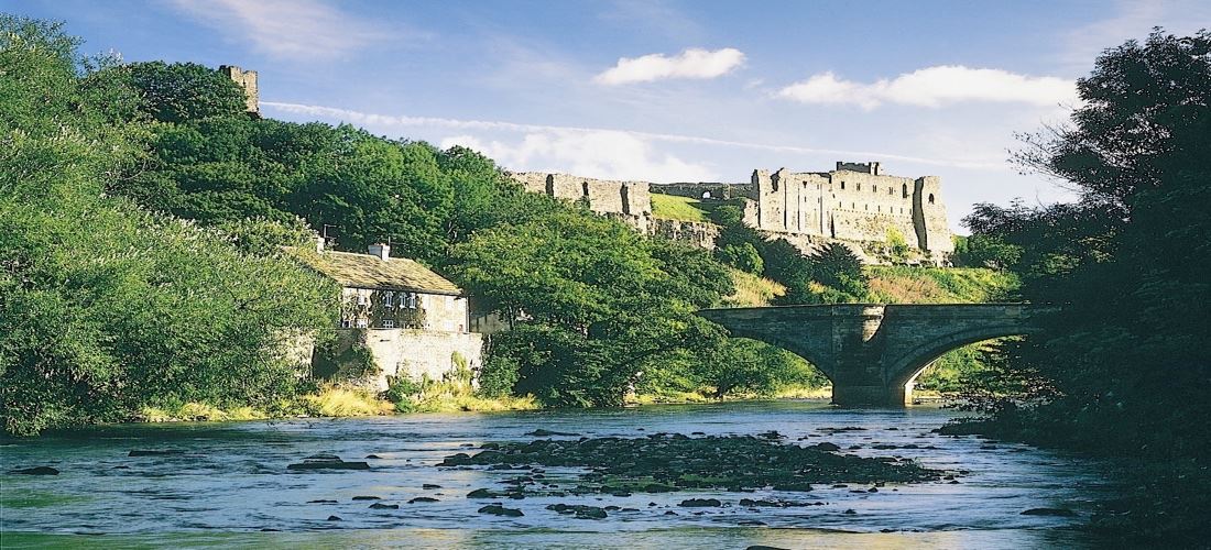 Photograph of the cottages or surrounding area